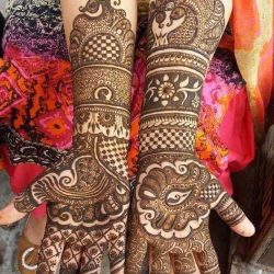 WhatsApp Image 2024-09-28 at 2.14.43 PM