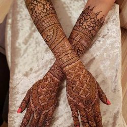 WhatsApp Image 2024-09-28 at 2.14.53 PM